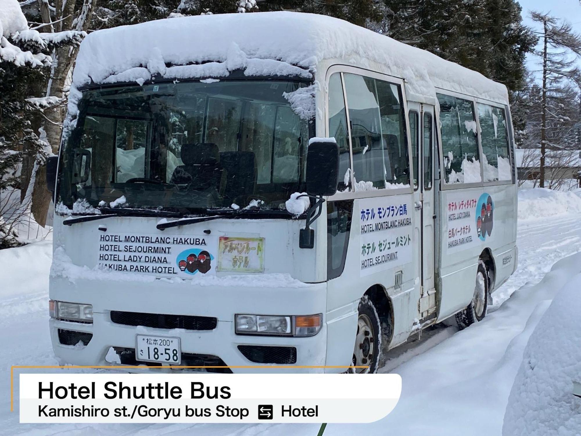 Hakuba Park Hotel Exterior foto